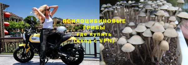 спайс Липки