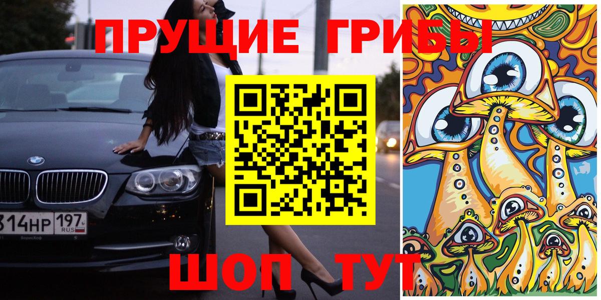 Галлюциногенные грибы Psilocybine cubensis Серпухов