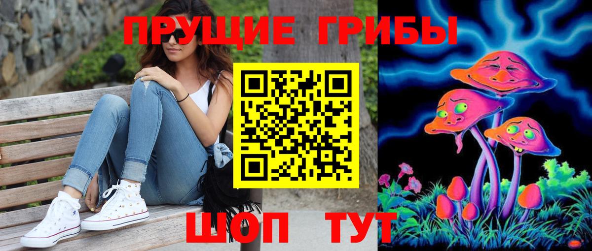 Псилоцибиновые грибы GOLDEN TEACHER Серпухов