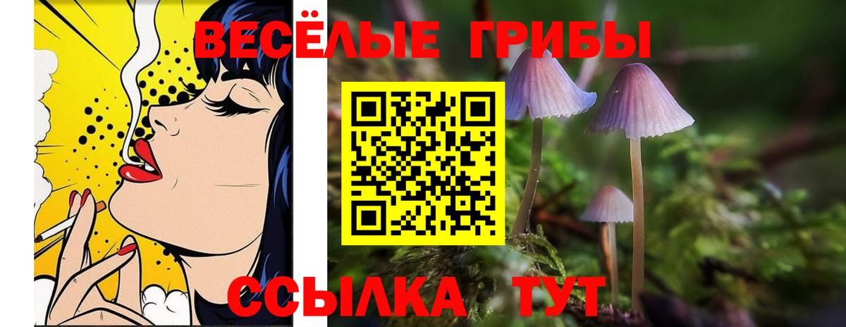 Псилоцибиновые грибы прущие грибы  Галлюциногенные грибы GOLDEN TEACHER  Серпухов 
